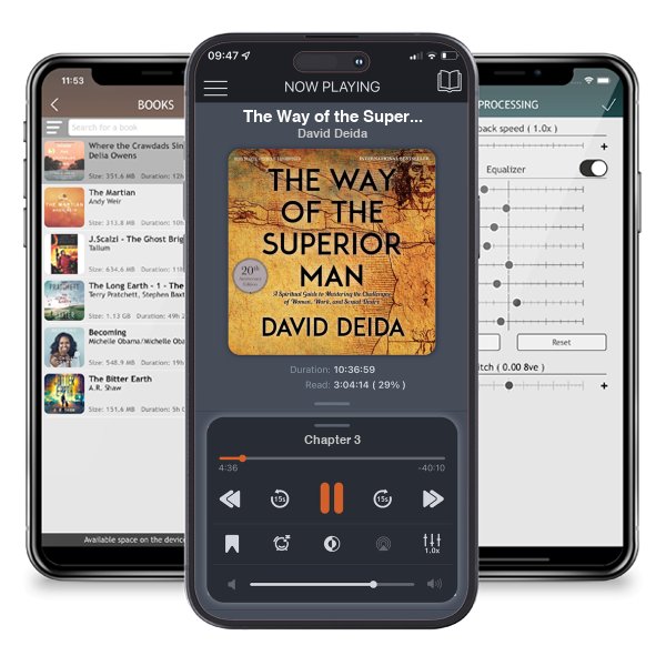 Download fo free audiobook The Way of the Superior Man by David Deida and listen anywhere on your iOS devices in the ListenBook app.
