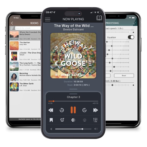 Download fo free audiobook The Way of the Wild Goose: Three Pilgrimages Following Geese,... by Beebe Bahrami and listen anywhere on your iOS devices in the ListenBook app.