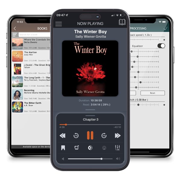 Download fo free audiobook The Winter Boy by Sally Wiener Grotta and listen anywhere on your iOS devices in the ListenBook app.
