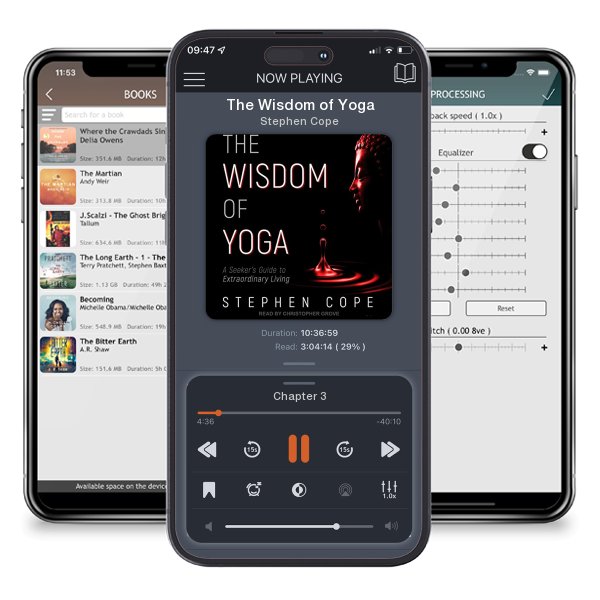 Download fo free audiobook The Wisdom of Yoga by Stephen Cope and listen anywhere on your iOS devices in the ListenBook app.