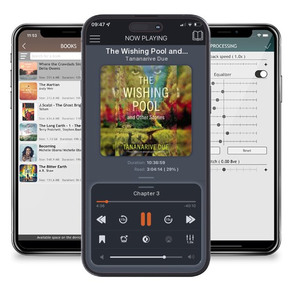 Download fo free audiobook The Wishing Pool and Other Stories by Tananarive Due and listen anywhere on your iOS devices in the ListenBook app.