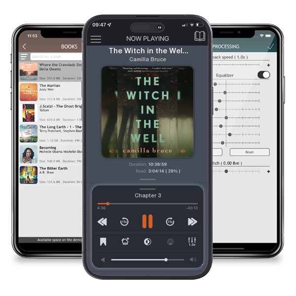 Download fo free audiobook The Witch in the Well by Camilla Bruce and listen anywhere on your iOS devices in the ListenBook app.
