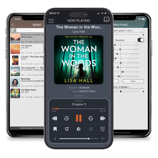 Download fo free audiobook The Woman in the Woods by Lisa Hall and listen anywhere on your iOS devices in the ListenBook app.