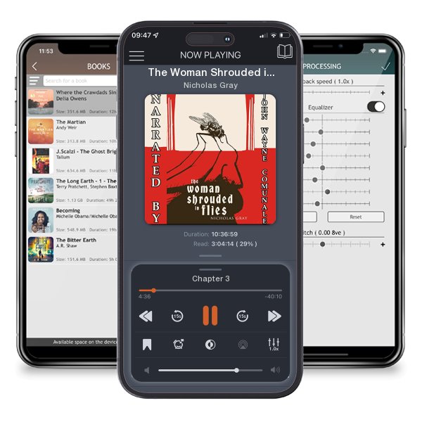 Download fo free audiobook The Woman Shrouded in Flies by Nicholas Gray and listen anywhere on your iOS devices in the ListenBook app.