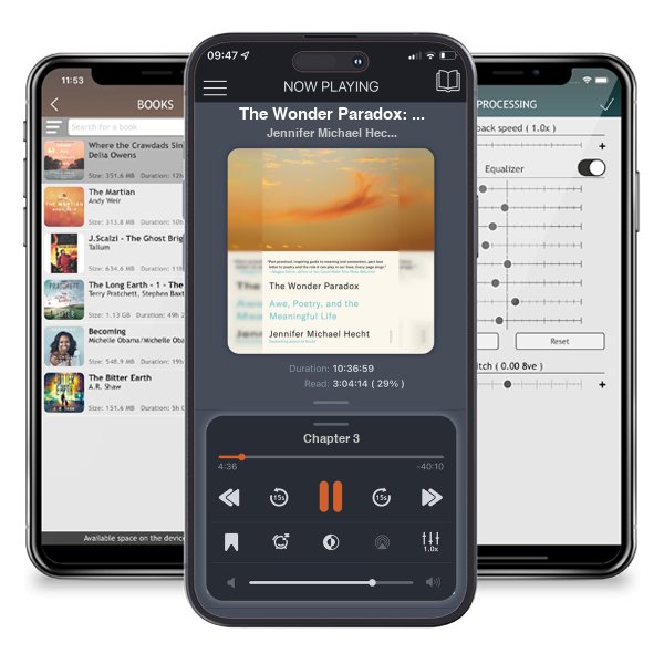 Download fo free audiobook The Wonder Paradox: Awe, Poetry, and the Meaningful Life by Jennifer Michael Hecht and listen anywhere on your iOS devices in the ListenBook app.