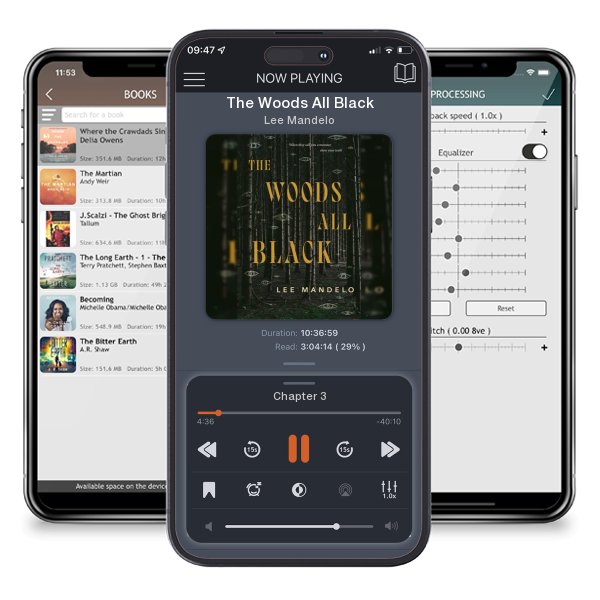 Download fo free audiobook The Woods All Black by Lee Mandelo and listen anywhere on your iOS devices in the ListenBook app.