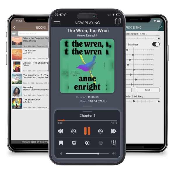 Download fo free audiobook The Wren, the Wren by Anne Enright and listen anywhere on your iOS devices in the ListenBook app.