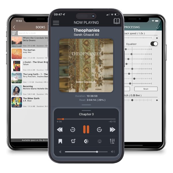 Download fo free audiobook Theophanies by Sarah Ghazal Ali and listen anywhere on your iOS devices in the ListenBook app.