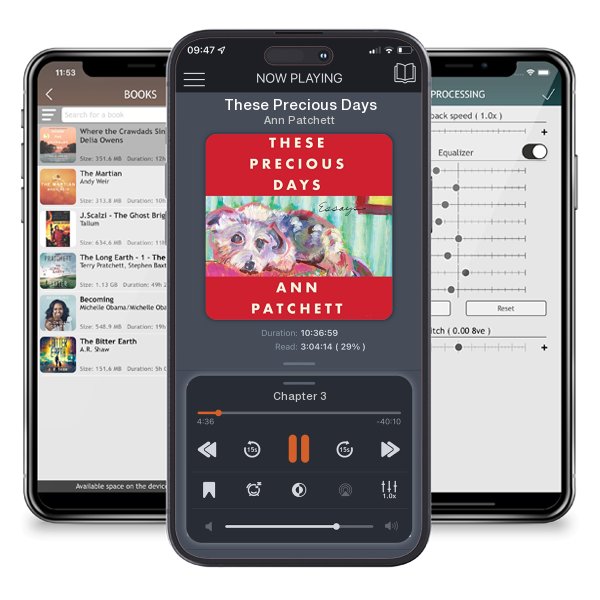 Download fo free audiobook These Precious Days by Ann Patchett and listen anywhere on your iOS devices in the ListenBook app.