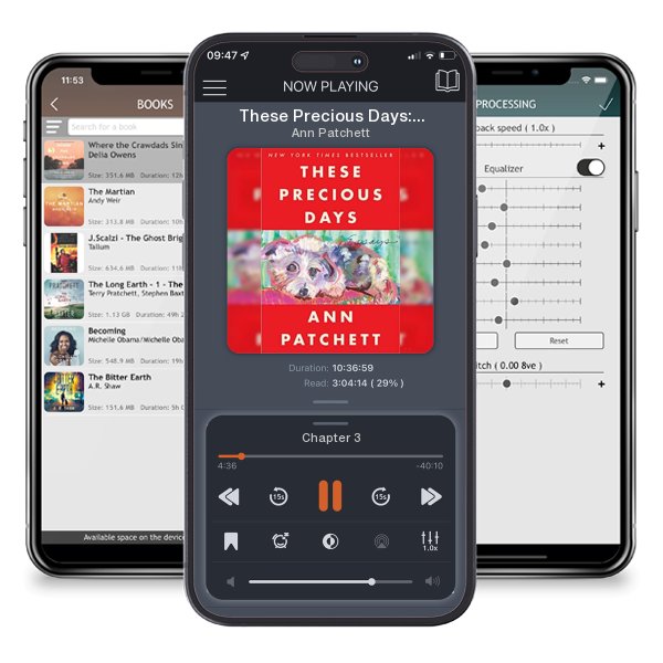 Download fo free audiobook These Precious Days: Essays by Ann Patchett and listen anywhere on your iOS devices in the ListenBook app.