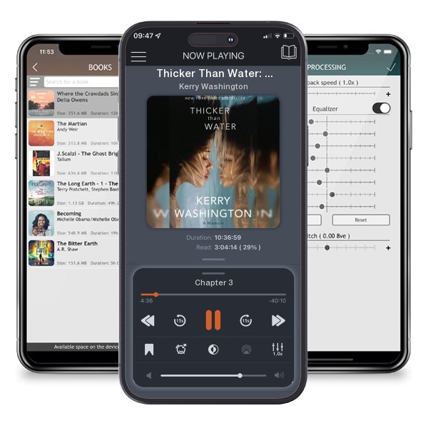 Download fo free audiobook Thicker Than Water: A Memoir by Kerry Washington and listen anywhere on your iOS devices in the ListenBook app.