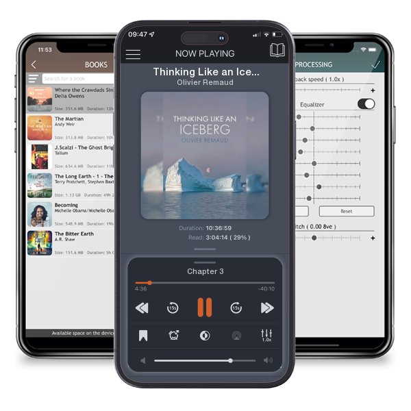 Download fo free audiobook Thinking Like an Iceberg by Olivier Remaud and listen anywhere on your iOS devices in the ListenBook app.