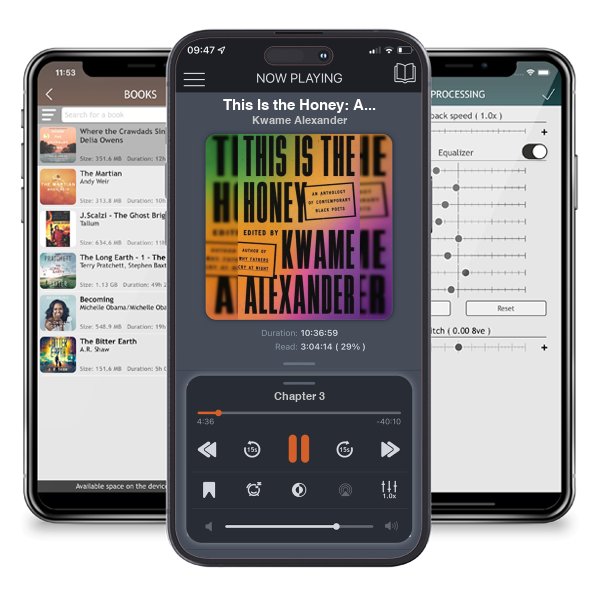 Download fo free audiobook This Is the Honey: An Anthology of Contemporary Black Poets by Kwame Alexander and listen anywhere on your iOS devices in the ListenBook app.