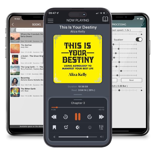 Download fo free audiobook This Is Your Destiny by Aliza Kelly and listen anywhere on your iOS devices in the ListenBook app.