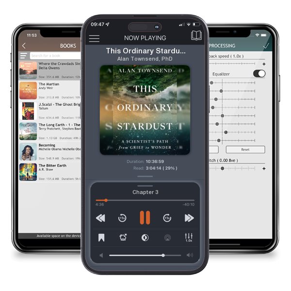 Download fo free audiobook This Ordinary Stardust: A Scientist's Path from Grief to Wonder by Alan Townsend, PhD and listen anywhere on your iOS devices in the ListenBook app.