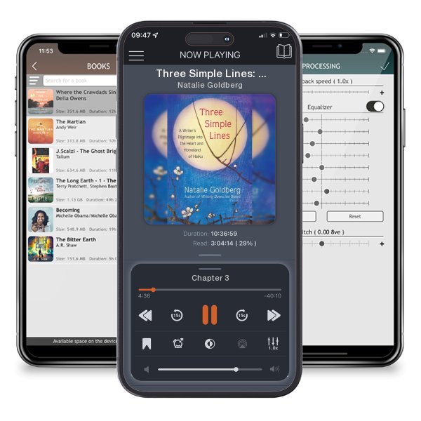 Download fo free audiobook Three Simple Lines: A Writer's Pilgrimage Into the Heart and... by Natalie Goldberg and listen anywhere on your iOS devices in the ListenBook app.