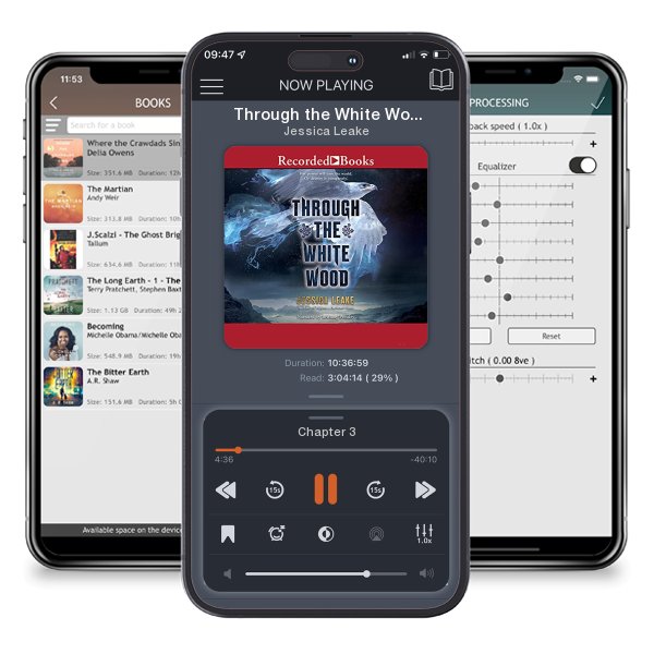 Download fo free audiobook Through the White Wood by Jessica Leake and listen anywhere on your iOS devices in the ListenBook app.