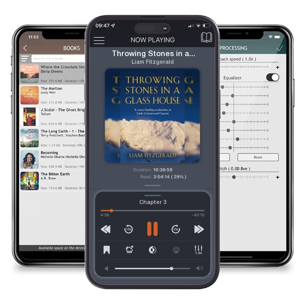 Download fo free audiobook Throwing Stones in a Glass House: A career battling... by Liam Fitzgerald and listen anywhere on your iOS devices in the ListenBook app.