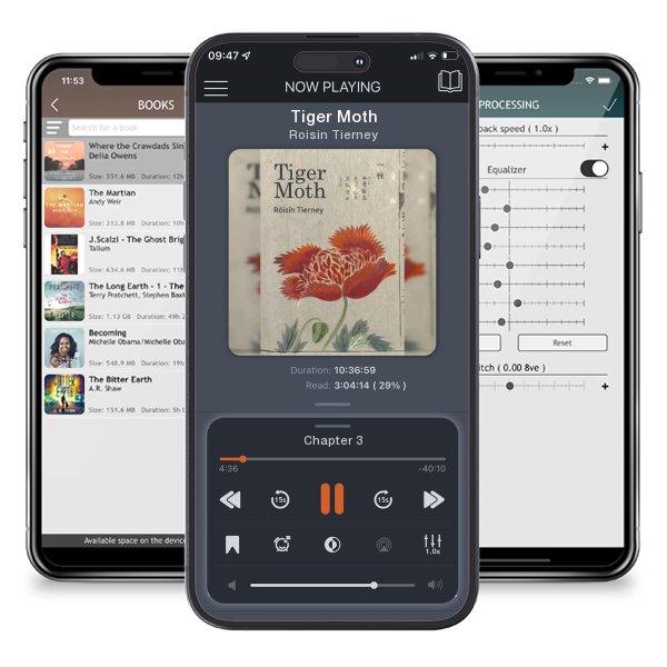 Download fo free audiobook Tiger Moth by Roisin Tierney and listen anywhere on your iOS devices in the ListenBook app.