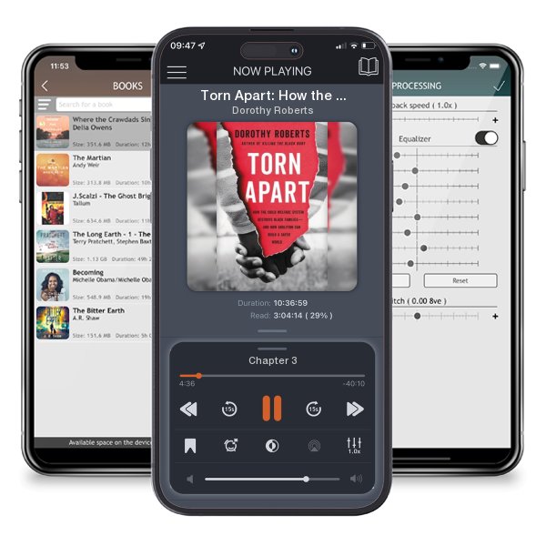 Download fo free audiobook Torn Apart: How the Child Welfare System Destroys Black... by Dorothy Roberts and listen anywhere on your iOS devices in the ListenBook app.