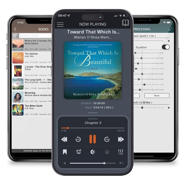 Download fo free audiobook Toward That Which Is Beautiful by Marian O’Shea Wernicke and listen anywhere on your iOS devices in the ListenBook app.