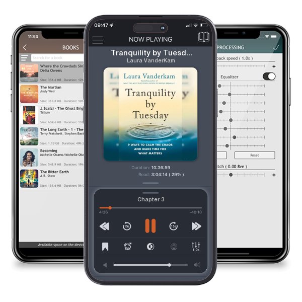 Download fo free audiobook Tranquility by Tuesday: 9 Ways to Calm the Chaos and Make... by Laura VanderKam and listen anywhere on your iOS devices in the ListenBook app.