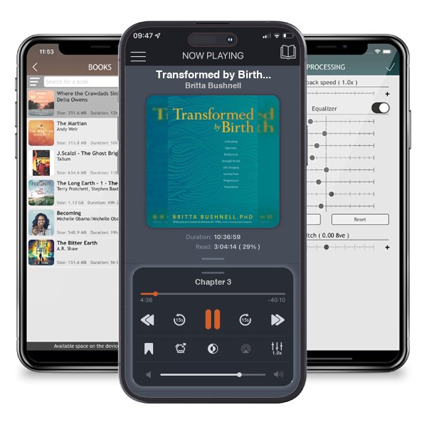 Download fo free audiobook Transformed by Birth: Cultivating Openness, Resilience, and... by Britta Bushnell and listen anywhere on your iOS devices in the ListenBook app.