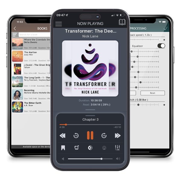 Download fo free audiobook Transformer: The Deep Chemistry of Life and Death by Nick Lane and listen anywhere on your iOS devices in the ListenBook app.
