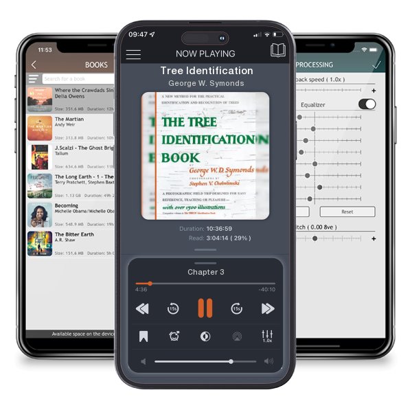 Download fo free audiobook Tree Identification by George W. Symonds and listen anywhere on your iOS devices in the ListenBook app.
