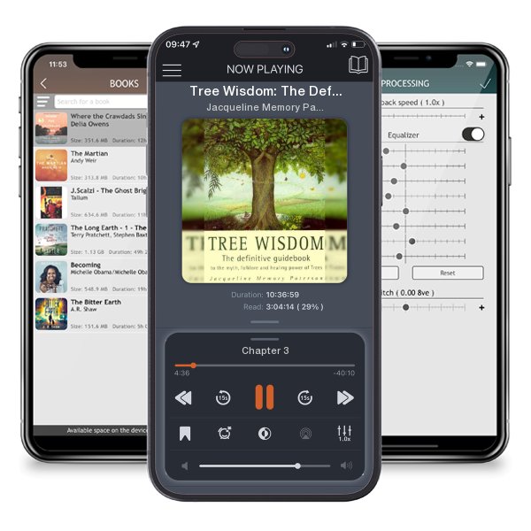 Download fo free audiobook Tree Wisdom: The Definitive Guidebook to the Myth, Folklore... by Jacqueline Memory Paterson and listen anywhere on your iOS devices in the ListenBook app.