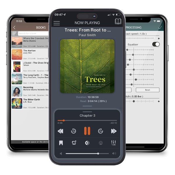 Download fo free audiobook Trees: From Root to Leaf by Paul Smith and listen anywhere on your iOS devices in the ListenBook app.