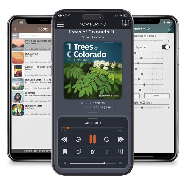 Download fo free audiobook Trees of Colorado Field Guide by Stan Tekiela and listen anywhere on your iOS devices in the ListenBook app.