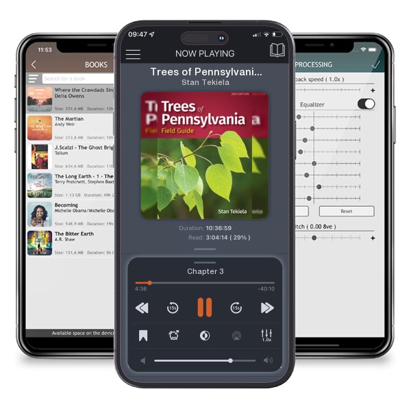 Download fo free audiobook Trees of Pennsylvania Field Guide by Stan Tekiela and listen anywhere on your iOS devices in the ListenBook app.