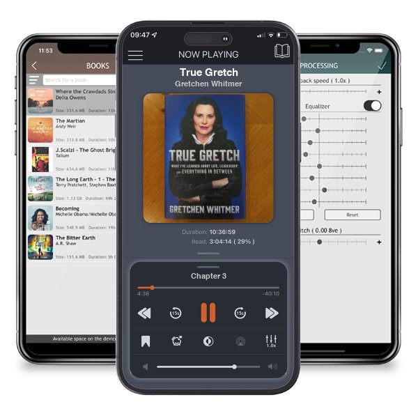 Download fo free audiobook True Gretch by Gretchen Whitmer and listen anywhere on your iOS devices in the ListenBook app.