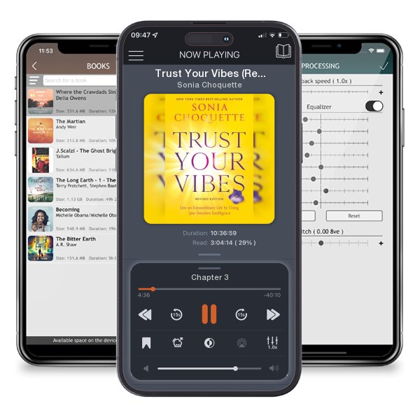 Download fo free audiobook Trust Your Vibes (Revised Edition): Live an Extraordinary... by Sonia Choquette and listen anywhere on your iOS devices in the ListenBook app.