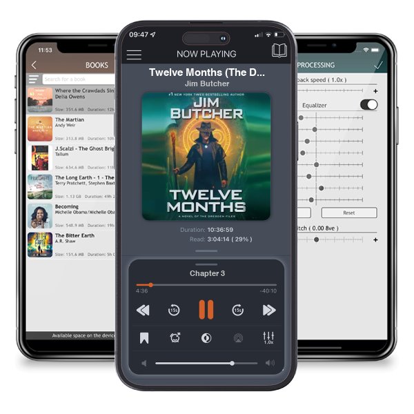 Download fo free audiobook Twelve Months (The Dresden Files, #18) by Jim Butcher and listen anywhere on your iOS devices in the ListenBook app.