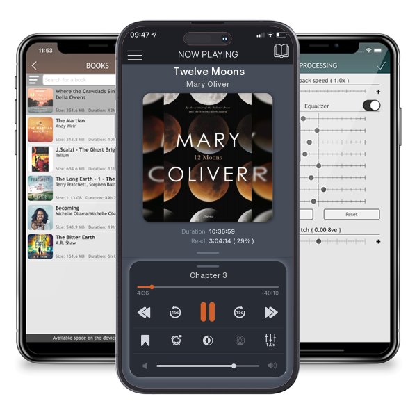 Download fo free audiobook Twelve Moons by Mary Oliver and listen anywhere on your iOS devices in the ListenBook app.