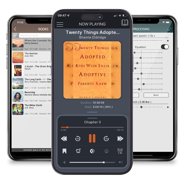 Download fo free audiobook Twenty Things Adopted Kids Wish Their Adoptive Parents Knew by Sherrie Eldridge and listen anywhere on your iOS devices in the ListenBook app.