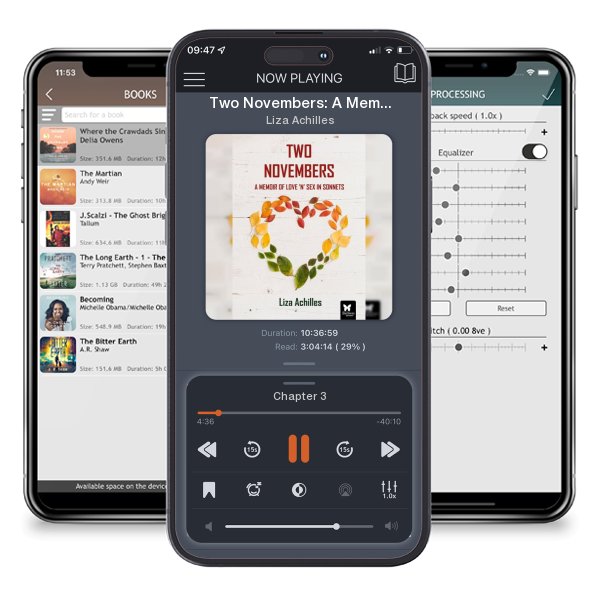 Download fo free audiobook Two Novembers: A Memoir of Love 'n' Sex in Sonnets by Liza Achilles and listen anywhere on your iOS devices in the ListenBook app.