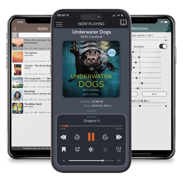 Download fo free audiobook Underwater Dogs by Seth Casteel and listen anywhere on your iOS devices in the ListenBook app.