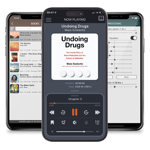 Download fo free audiobook Undoing Drugs by Maia Szalavitz and listen anywhere on your iOS devices in the ListenBook app.