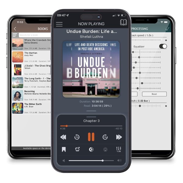 Download fo free audiobook Undue Burden: Life and Death Decisions in Post-Roe America by Shefali Luthra and listen anywhere on your iOS devices in the ListenBook app.