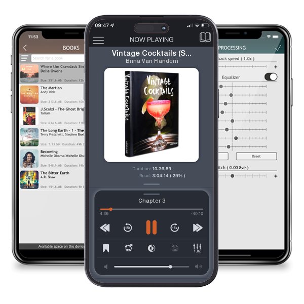 Download fo free audiobook Vintage Cocktails (Spiral) by Brina Van Flandern and listen anywhere on your iOS devices in the ListenBook app.