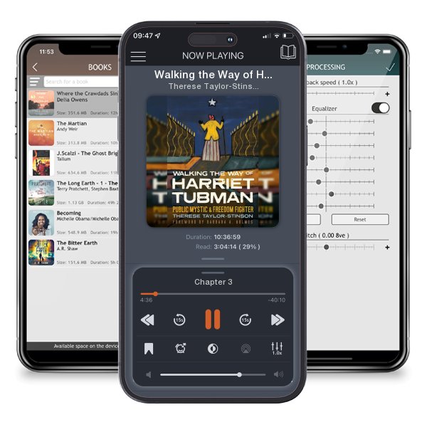Download fo free audiobook Walking the Way of Harriet Tubman: Public Mystic and Freedom... by Therese Taylor-Stinson and listen anywhere on your iOS devices in the ListenBook app.