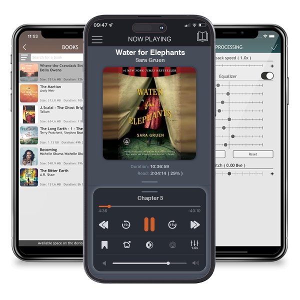 Download fo free audiobook Water for Elephants by Sara Gruen and listen anywhere on your iOS devices in the ListenBook app.
