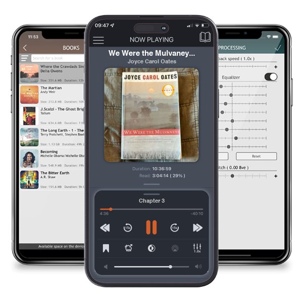 Download fo free audiobook We Were the Mulvaneys by Joyce Carol Oates and listen anywhere on your iOS devices in the ListenBook app.