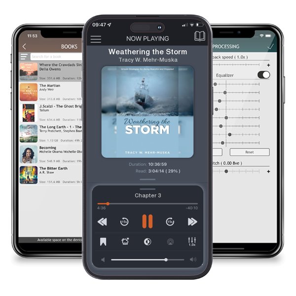 Download fo free audiobook Weathering the Storm by Tracy W. Mehr-Muska and listen anywhere on your iOS devices in the ListenBook app.