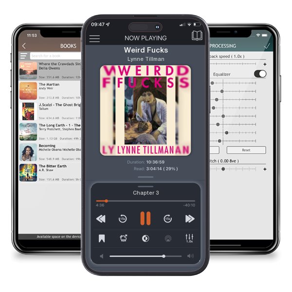 Download fo free audiobook Weird Fucks by Lynne Tillman and listen anywhere on your iOS devices in the ListenBook app.