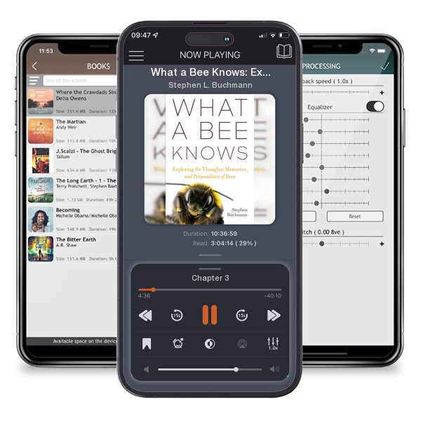 Download fo free audiobook What a Bee Knows: Exploring the Thoughts, Memories, and... by Stephen L. Buchmann and listen anywhere on your iOS devices in the ListenBook app.