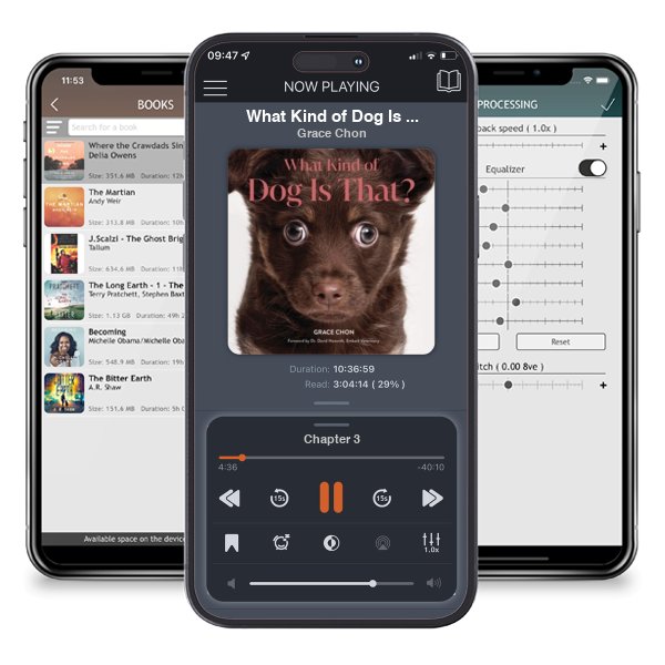 Download fo free audiobook What Kind of Dog Is That? by Grace Chon and listen anywhere on your iOS devices in the ListenBook app.
